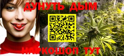 крисы Ирбит