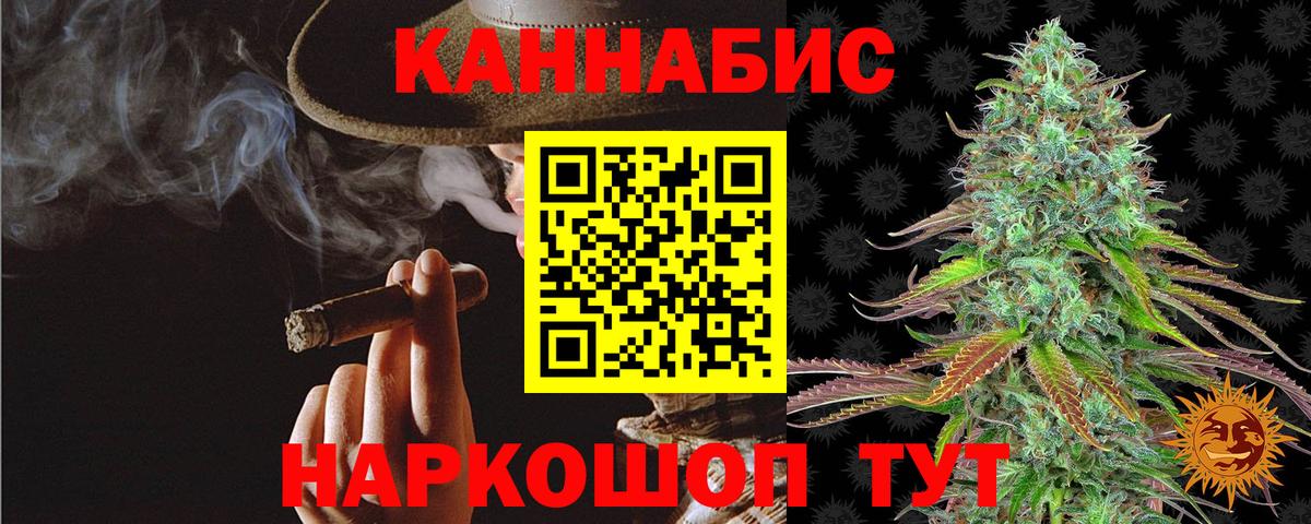 Каннабис сатива Миллерово